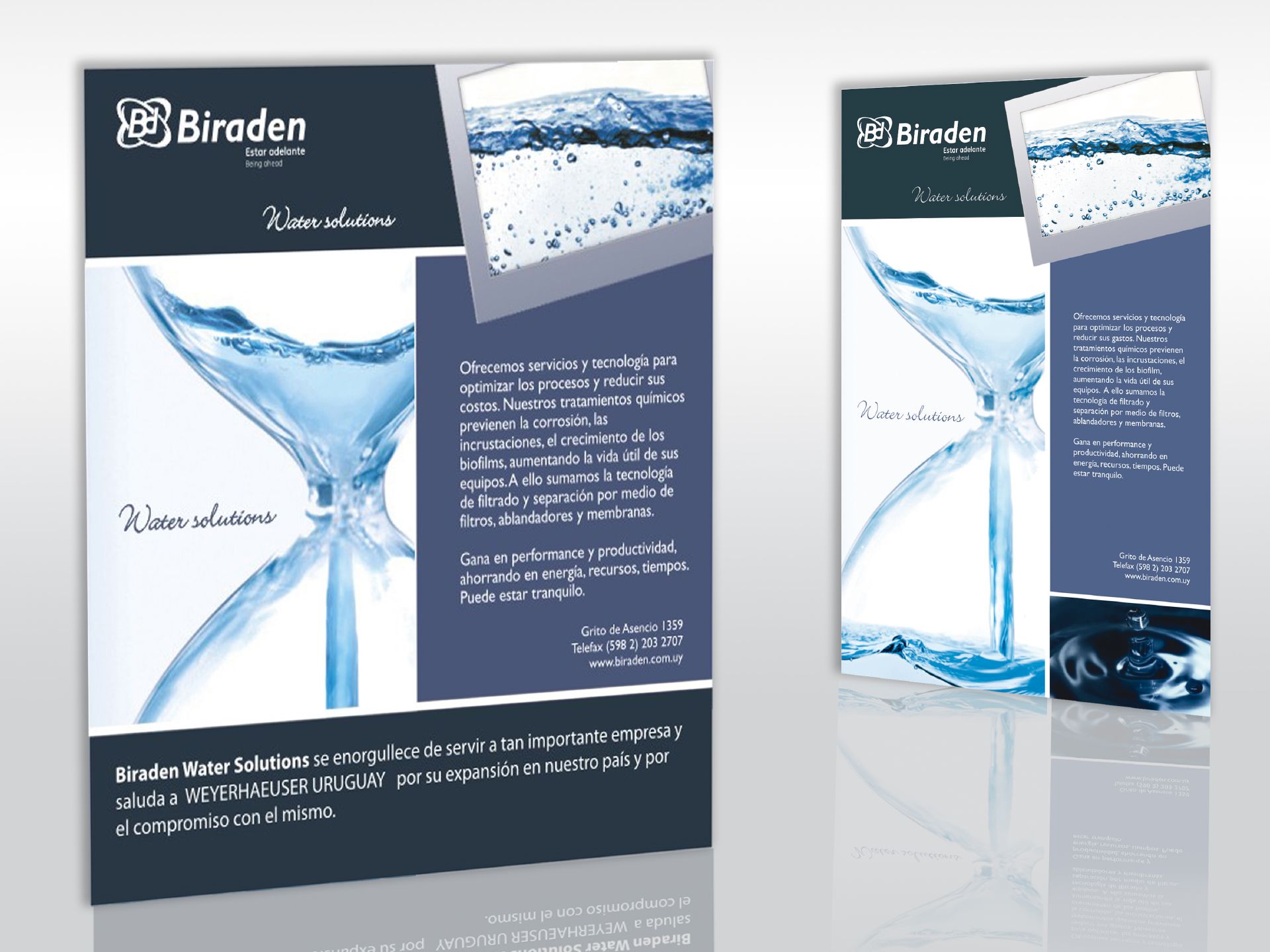 Gráfica Biraden Water Solutions